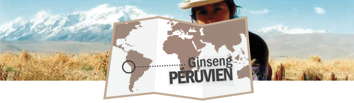 Ginseng péruvien - maca bio